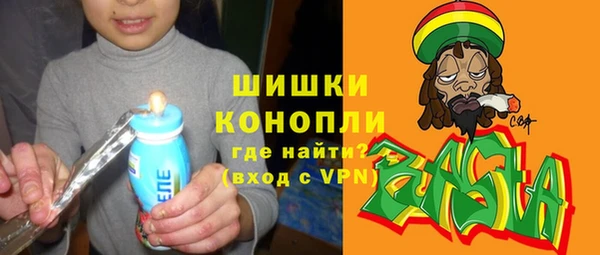 дмт Бородино