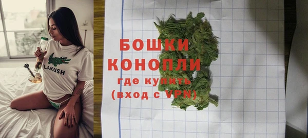 дмт Бородино