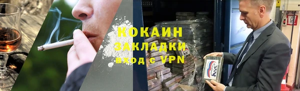 дмт Бородино