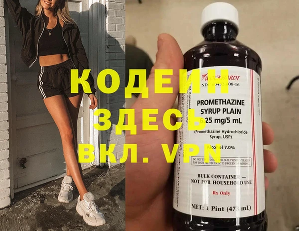 дмт Бородино