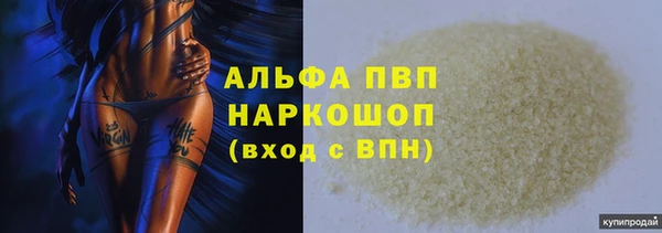 дмт Бородино