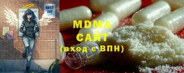 дмт Бородино