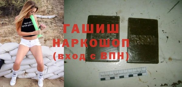 дмт Бородино