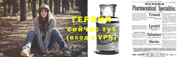 дмт Бородино