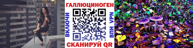 Купить  Лодейное Поле  Псилоцибиновые грибы мицелий 