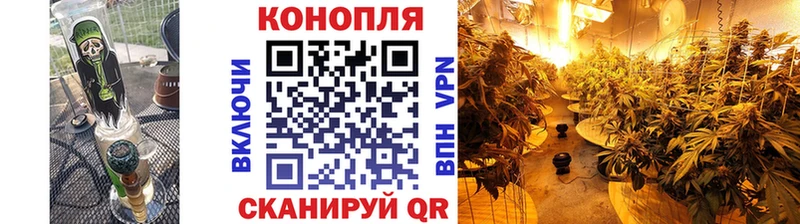 Бошки Шишки семена  Купить закладки  Лодейное Поле 